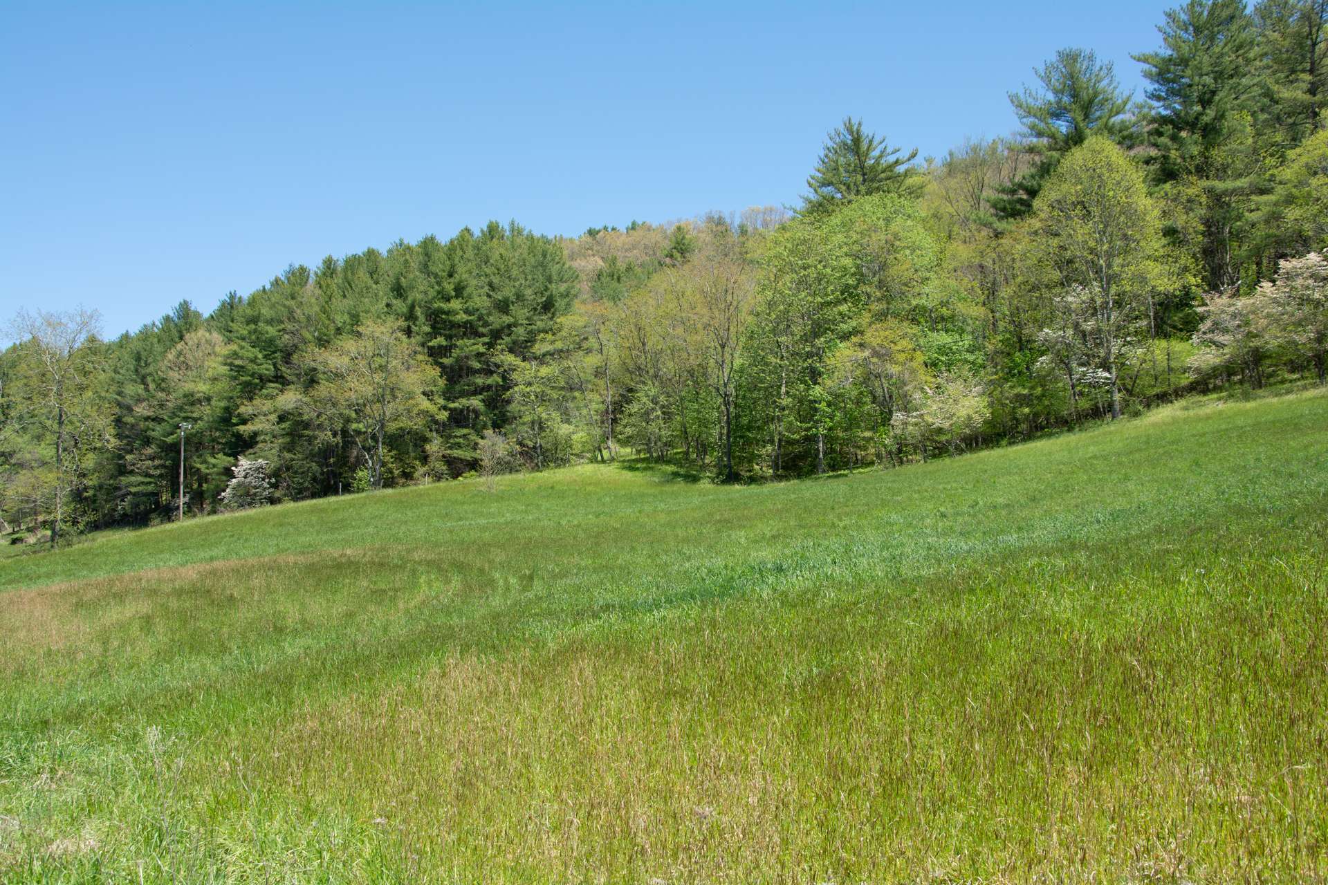 Build  your home or cabin across the road outside the flood zone.  The hillside behind the home site is wooded creating a home to a variety of wildlife.