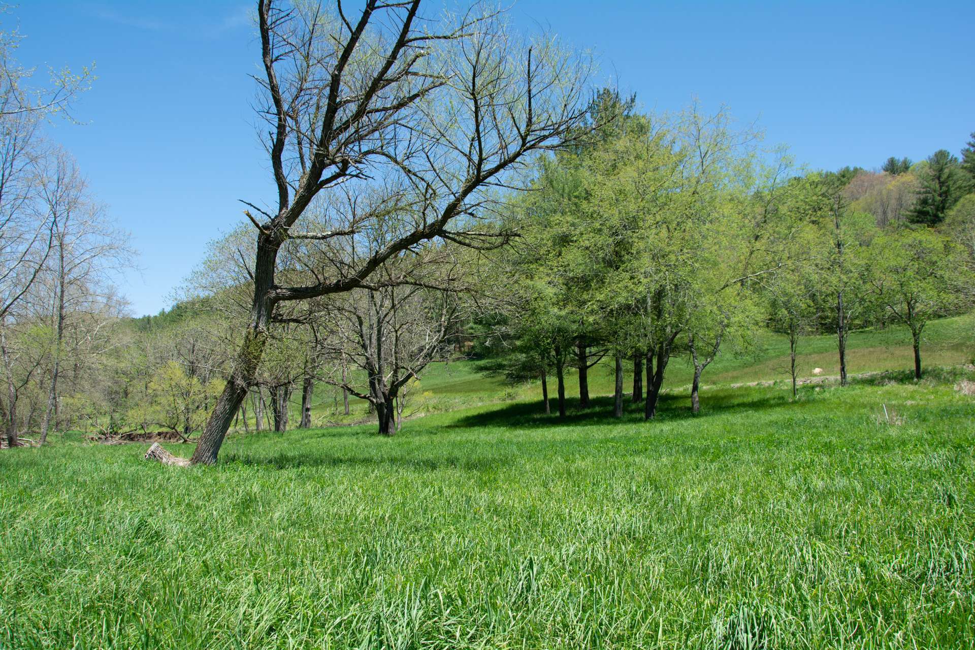 Enjoy wonderful river views from your new cabin constructed on the homesite.