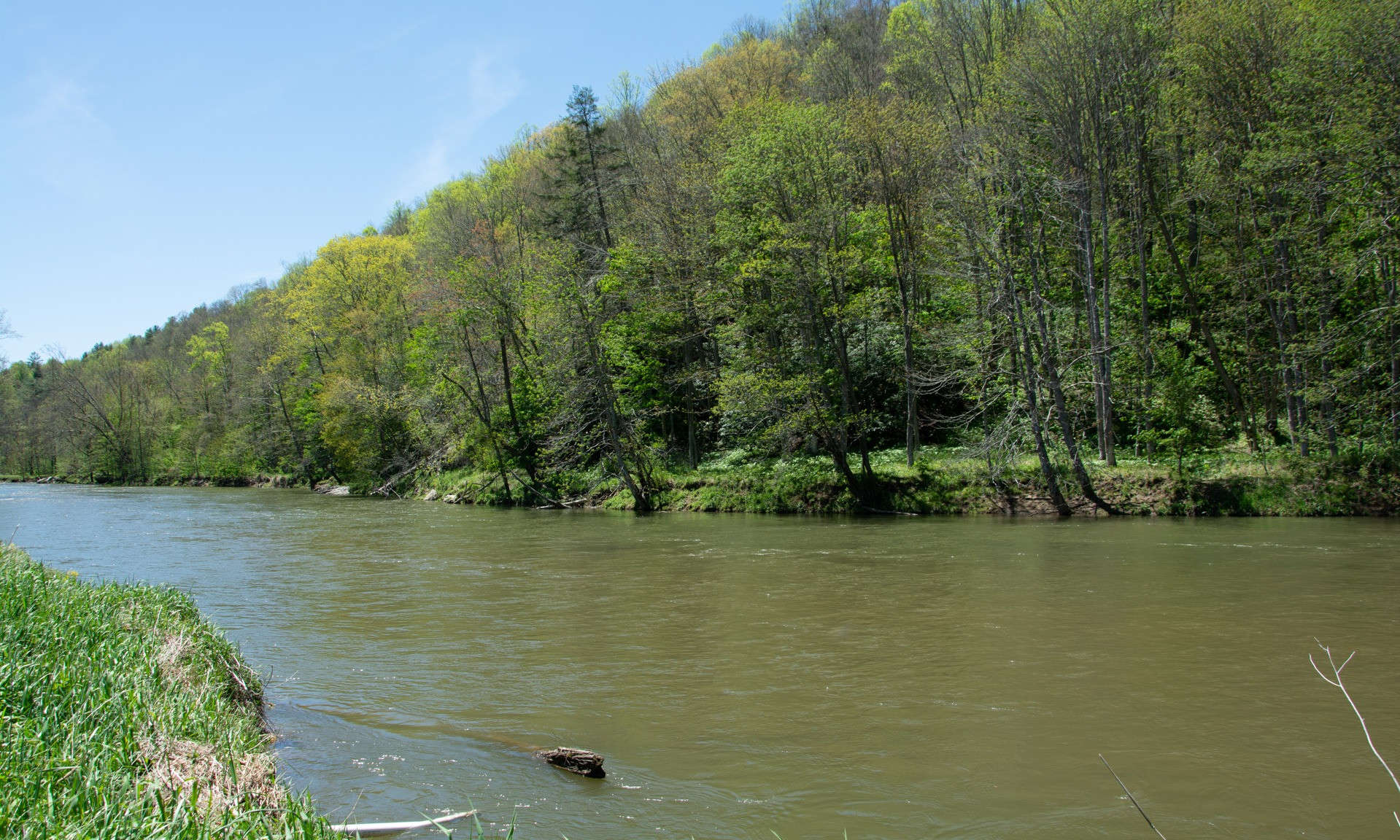 Riverfront Land Unrestricted on the North Fork of the New River.  Bring the fishing poles, kayaks, and tubes.