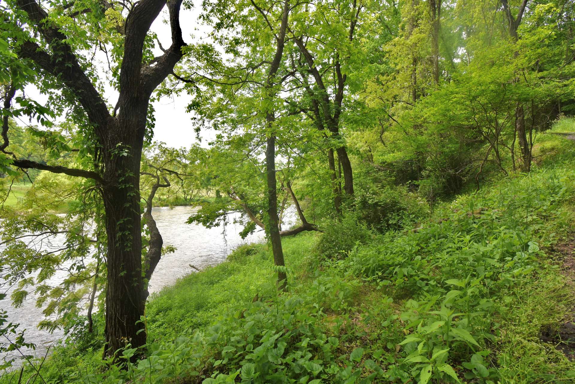 This mountain homesite is between the road and the river for optimum enjoyment of the river.  This riverfront lot is offered at only $29,000.  Call our office today for additional information on listing Q208.