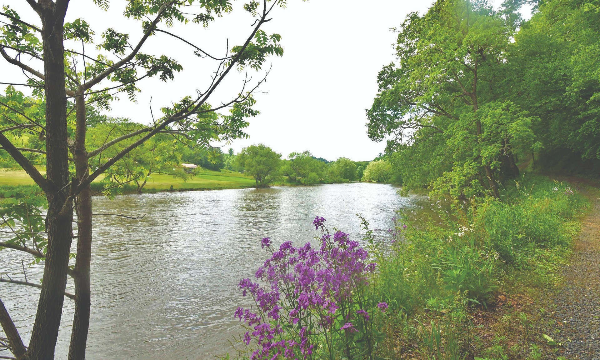 NC Mountain riverfront homesite in North River Estates!  This 1.73 acre home site is now available  offering  beautiful river  frontage on the North Fork of the New River in the Crumpler area of Ashe County in the North Carolina Mountains.