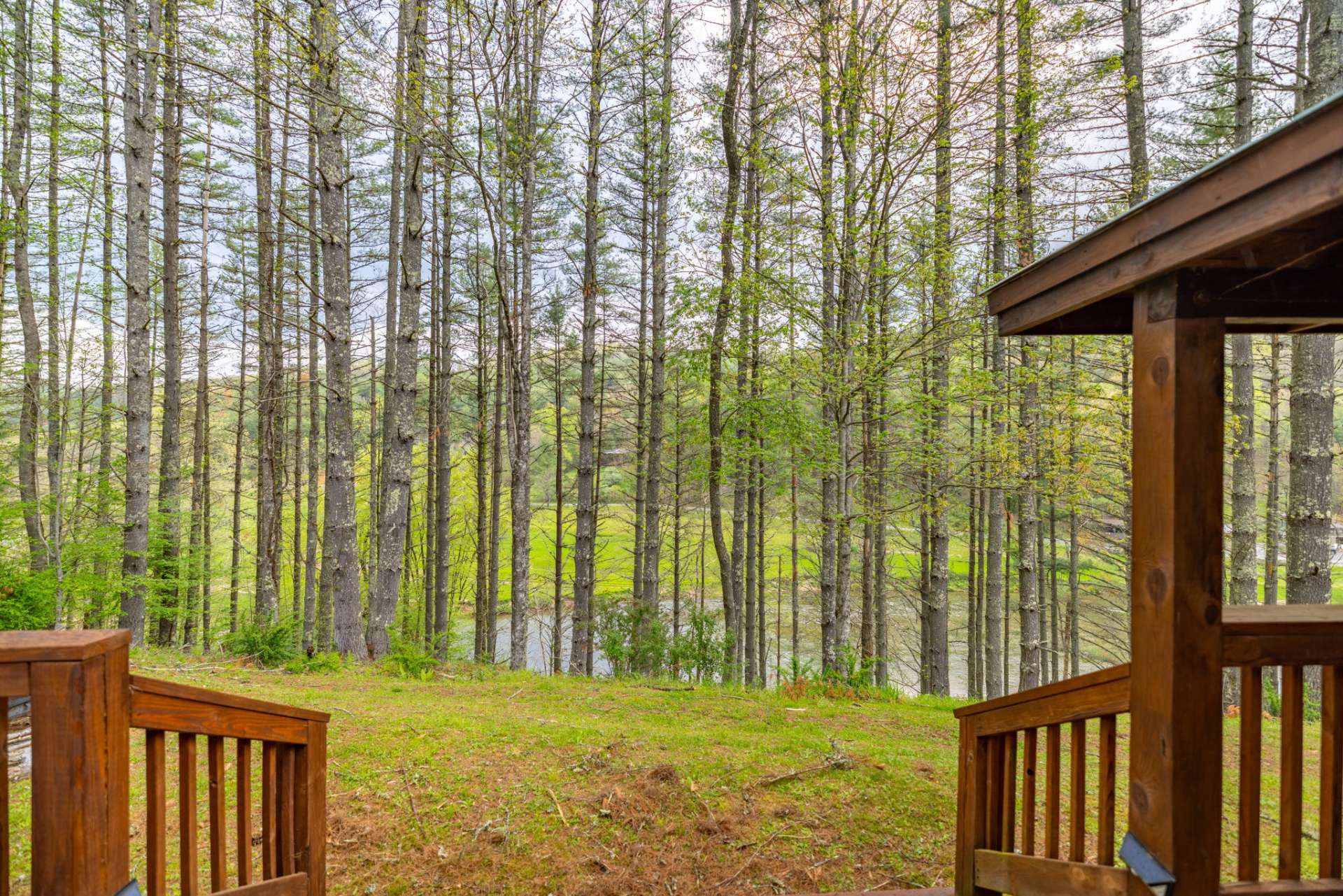A great spot for your firepit in the backyard