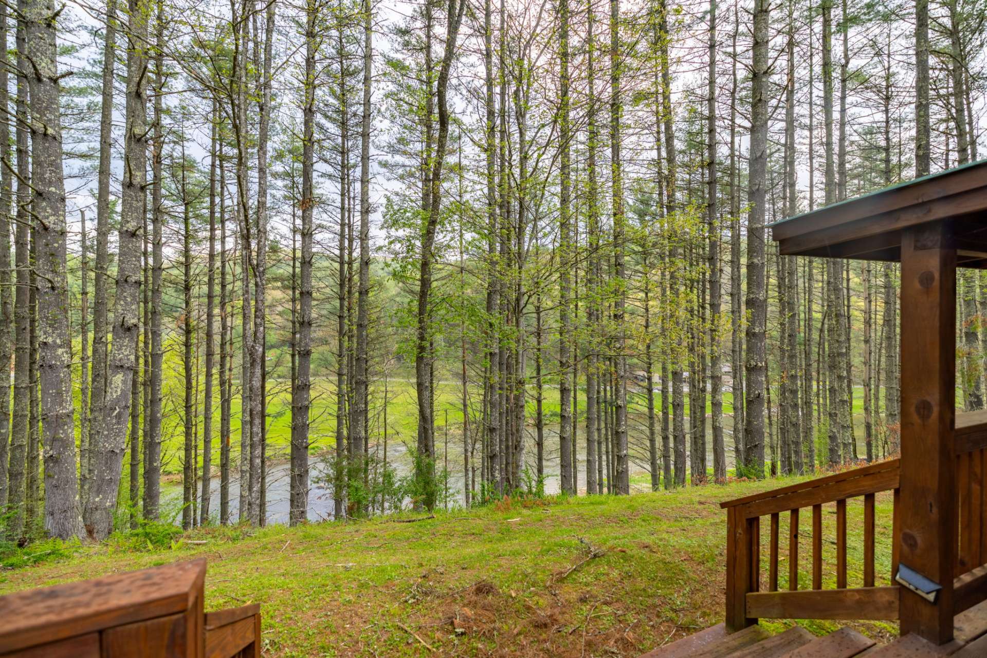 Nothing better than a shady spot to enjoy a view of the New River