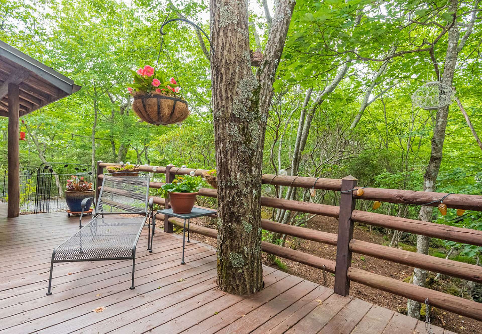 You'll never feel closer to nature than when you sit beside your very own deck tree. He's a great listener! #mountaintherapy