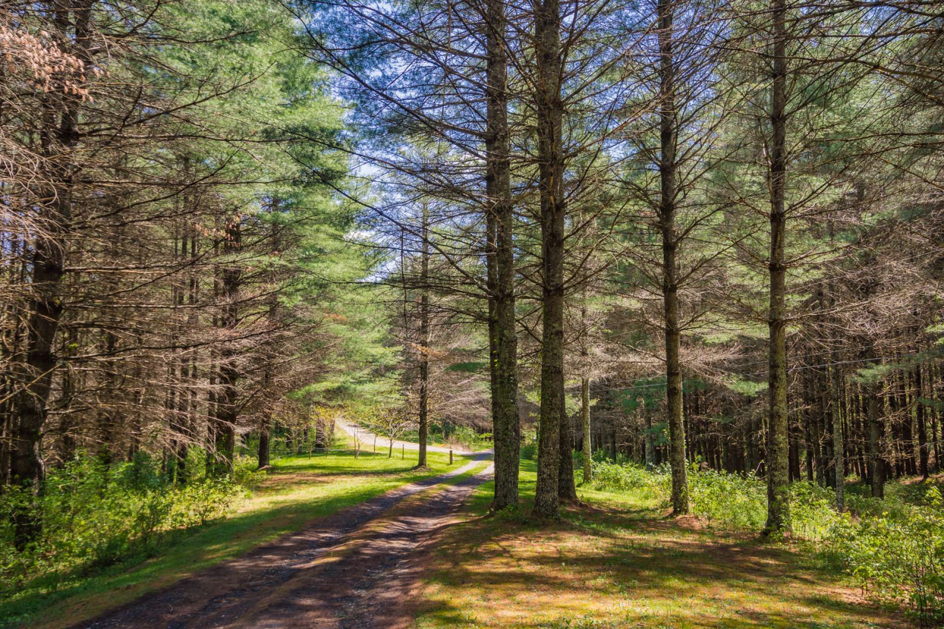 A tree lined drive brings you home to a 2-bedroom, 2-bath charmer nestled among Nature's beauty.