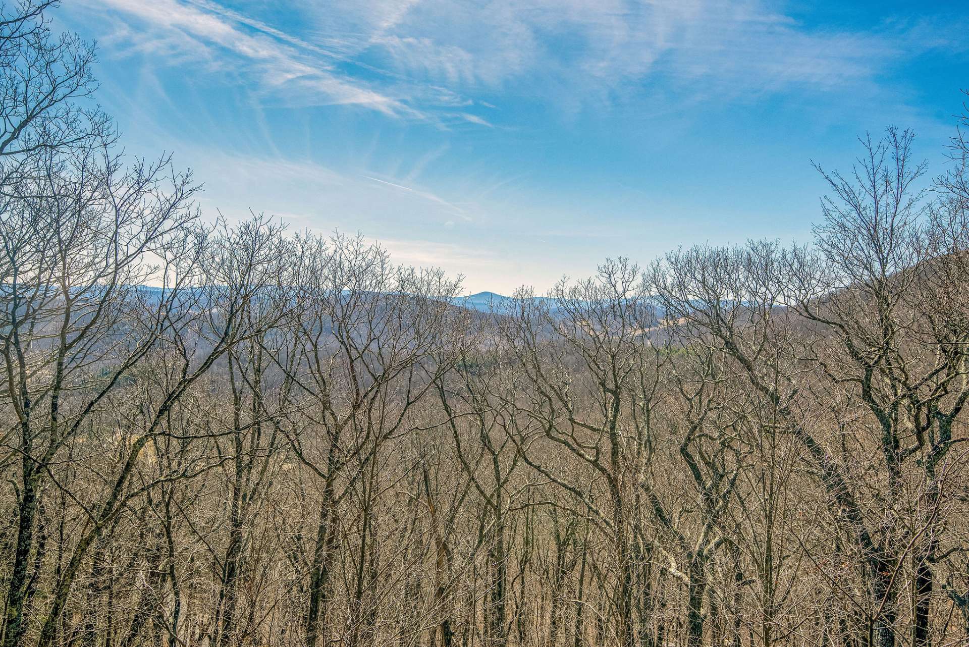 Say, "Hi" to Grandfather Mountain every morning and don't forget your feathered and furry friends who share your 4+ acre setting.