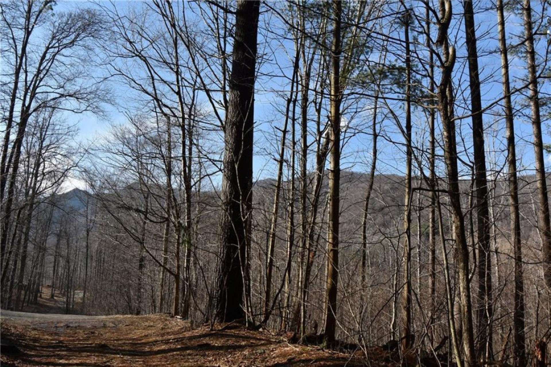 Offered at only $100,000, this 10.70 acre tract of mountain land is ideal for those looking for a secluded place to construct their mountain cabin or home. The location is both private and only a 15 minute drive into West Jefferson to enjoy a day of shopping, restaurants, and the many unique shops. Call today for more information on listing K219.