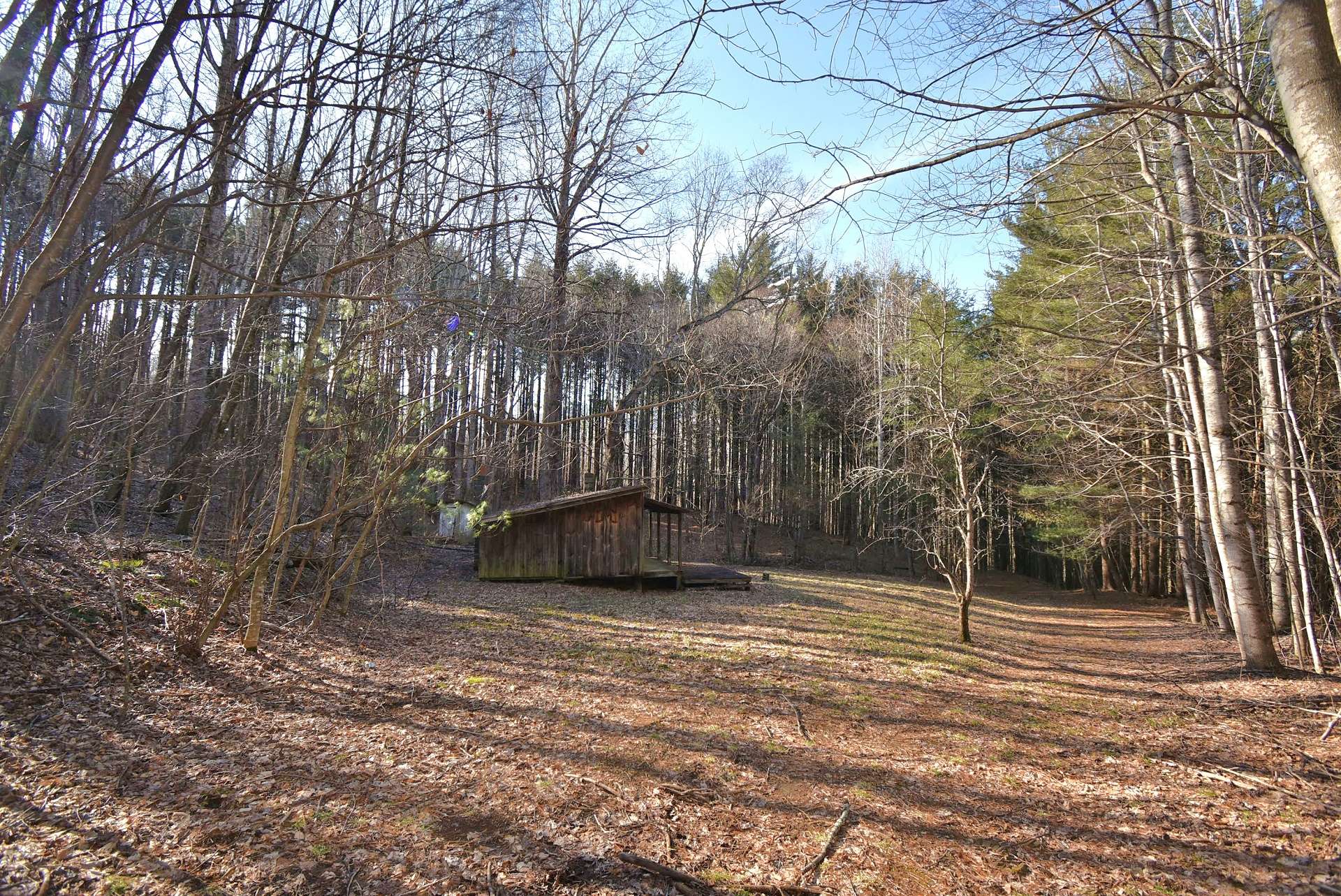 Nestled in among all of this natural beauty, is an old hunting shack that, with a bit of TLC and repairs, holds lots of potential. A Hunter's paradise!