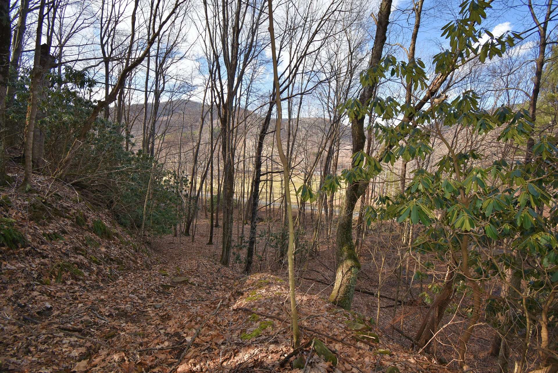 There are multiple potential building sites. You might decide to build your mountain home or cabin beneath towering hardwoods, or on a knoll with views of Three Top Mountain. The choice is yours.
