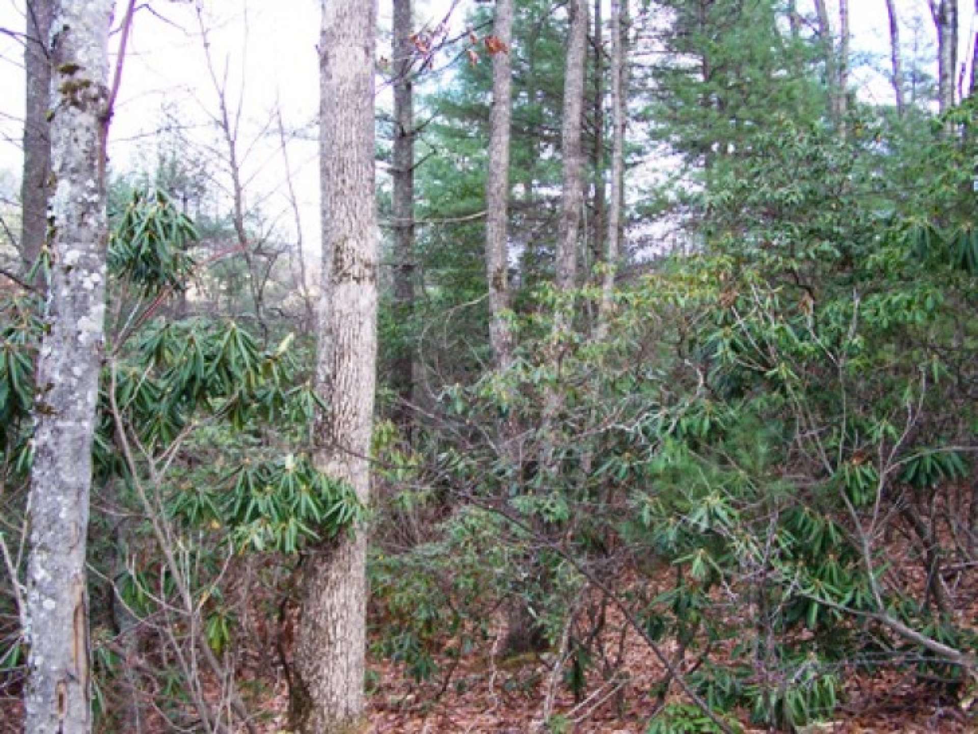 Lot 1 is a 1.409 sloping wooded lot with nice seasonal views and easy access