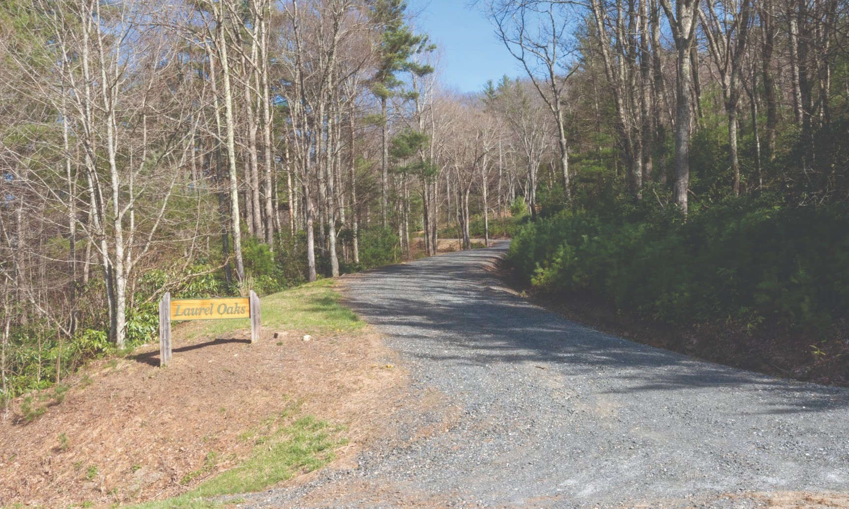 TAKE TO THE WOODS in Laurel Oaks, a small rustic log home community in southern Ashe County with seasonal long range mountain and pastoral views.