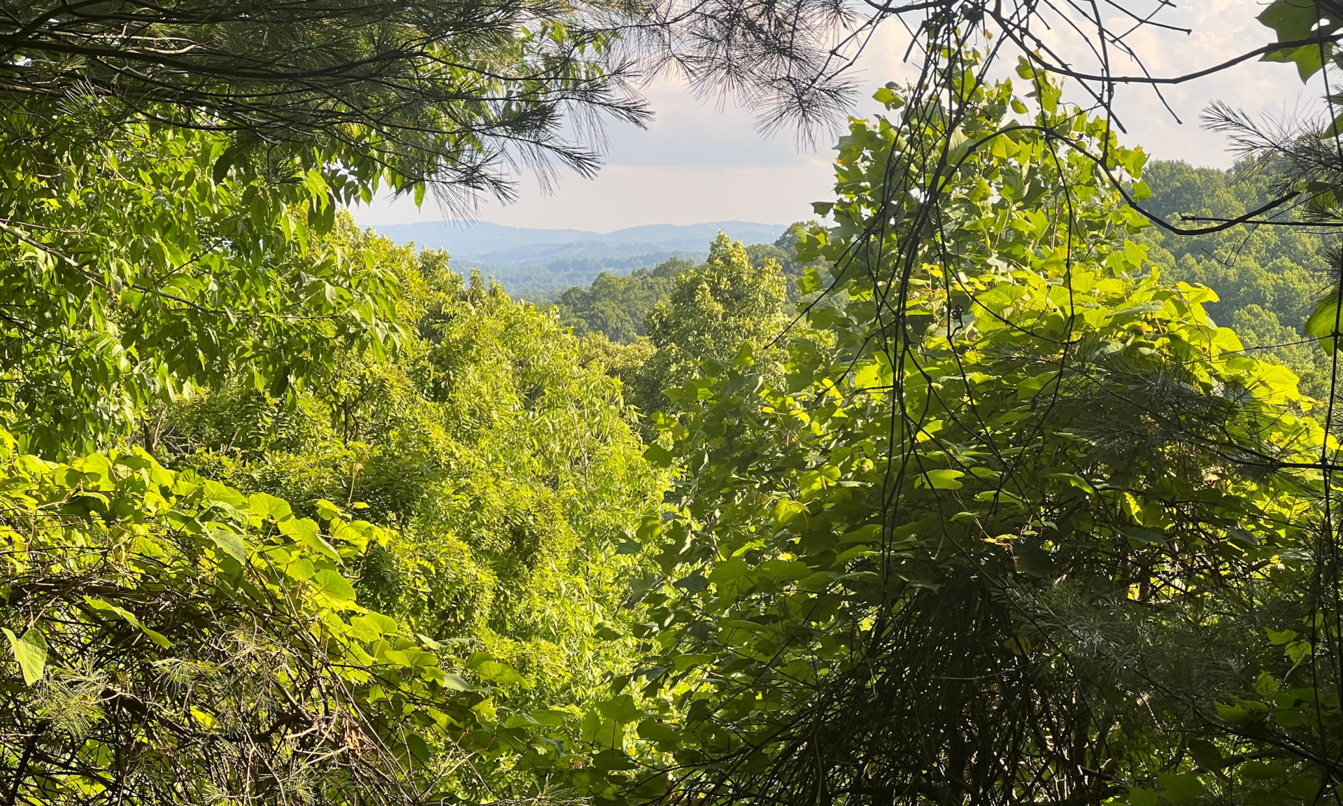 Small Acreage Tract NC Mountains