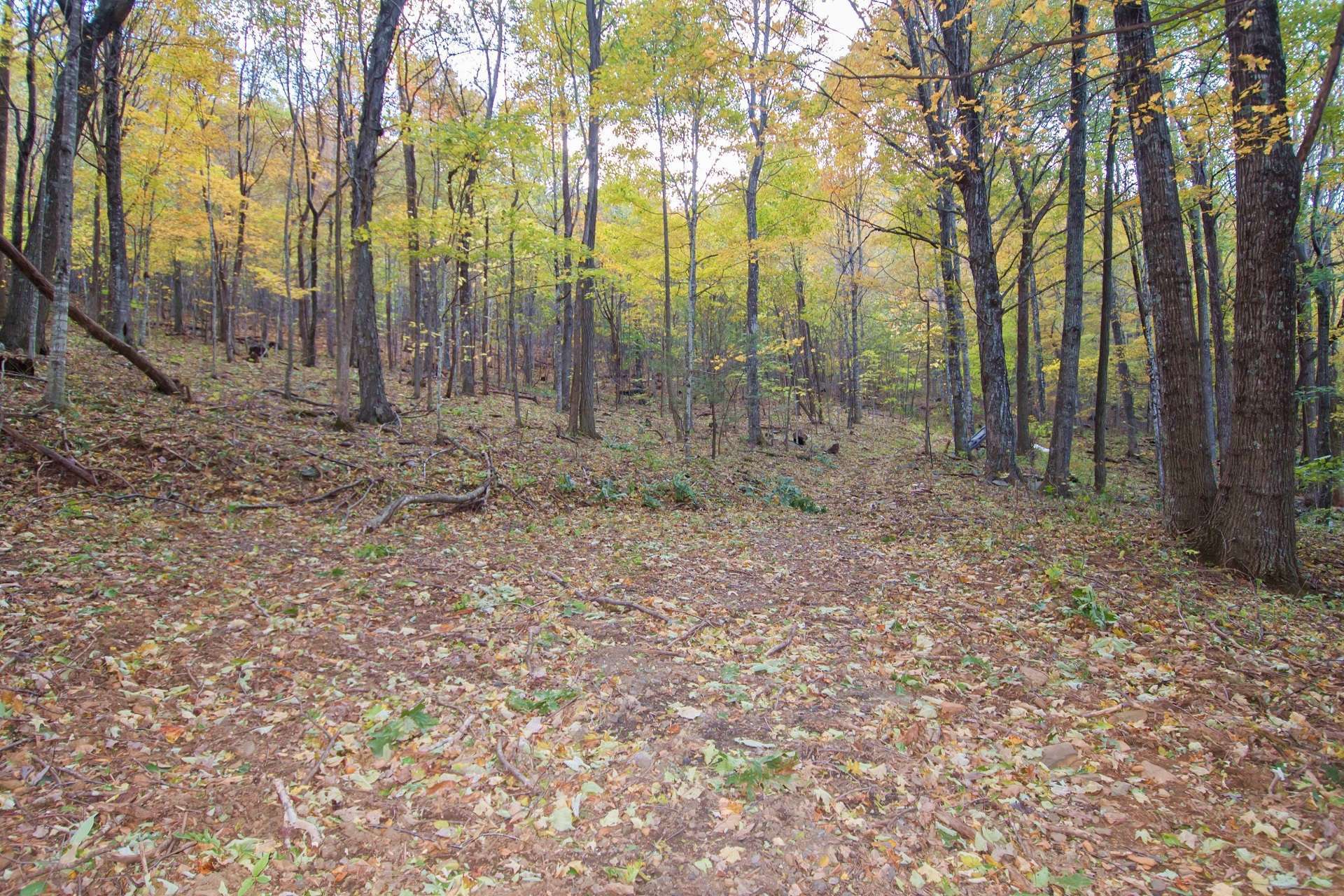 The land lays well and offers a wonderful location for your NC Mountain cabin retreat or year round home. The location is convenient to all of the amenities of the Jefferson and West Jefferson areas, along with many destinations of the NC High Country.