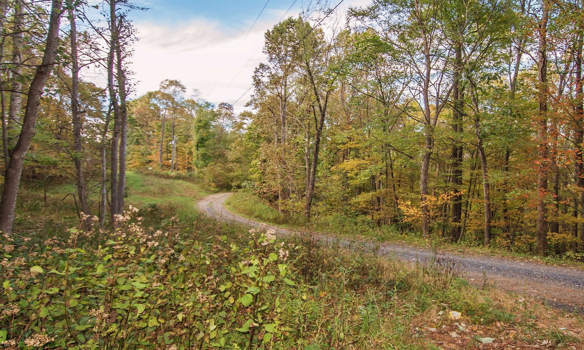Located just two miles to Mount Jefferson State Park, this gorgeous 2.77 acre unrestricted small acreage land tract is accessed via a quiet graveled country road.