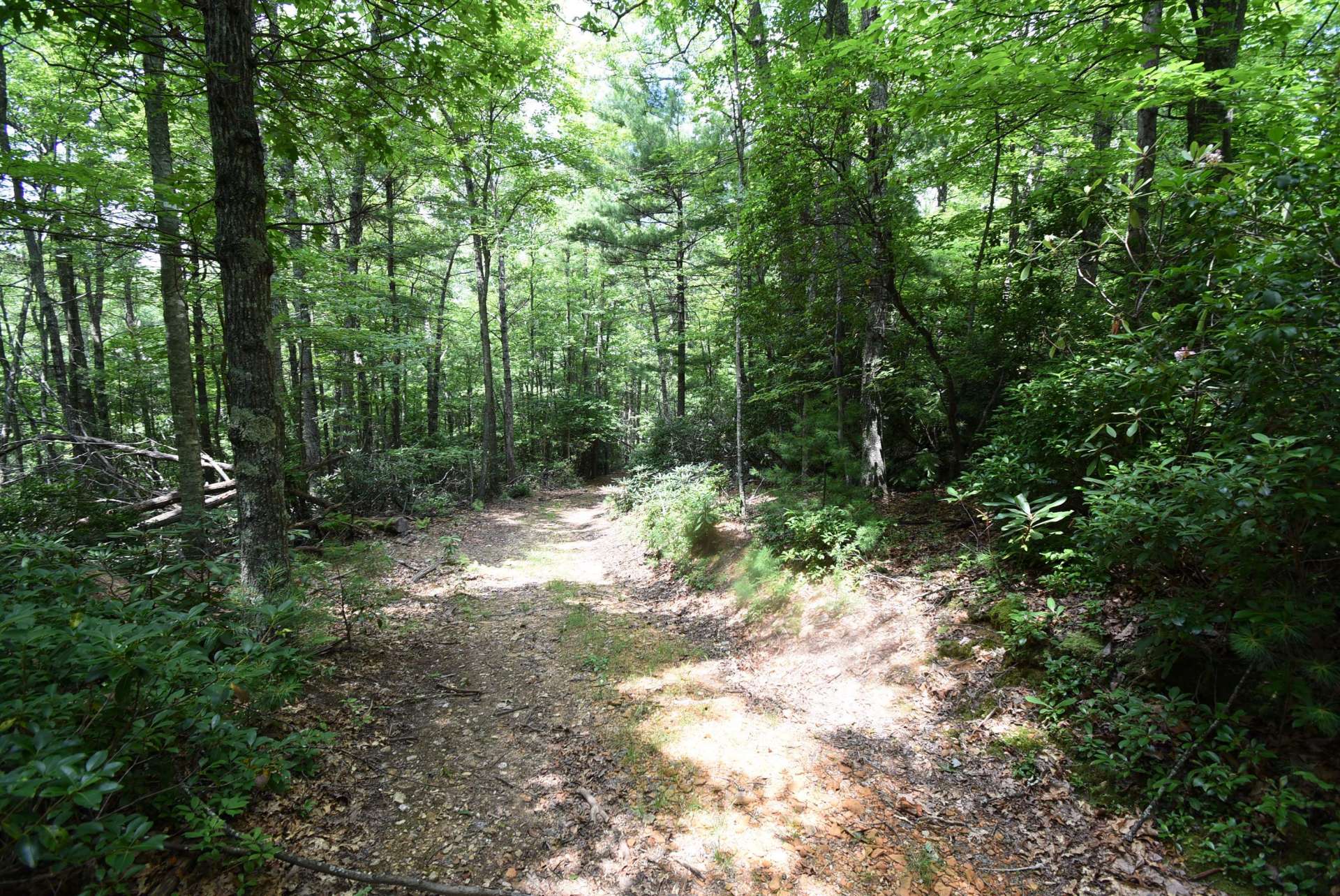 Trails run throughout the tract offering excellent hiking, horseback riding, or ATV adventures.