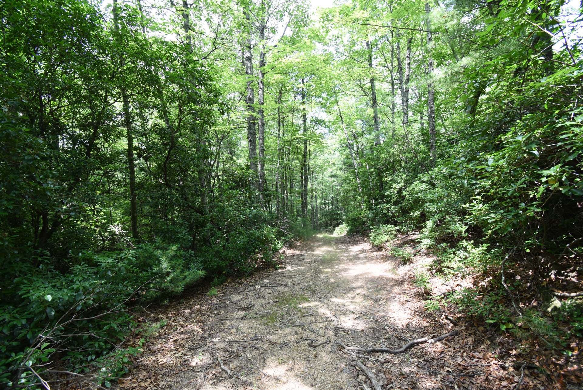 This 41.22 acre tract located in the Southeastern section of Ashe County in the NC High Country is perfect for your private mountain estate, recreational mountain retreat, or investment property. This property is offered at $258,000. S270