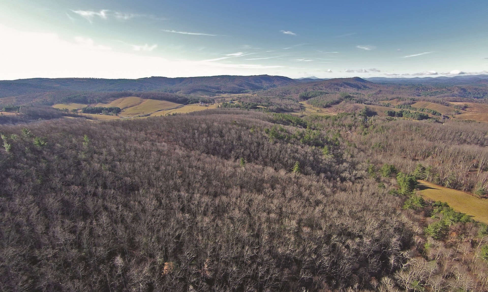 LOTS OF POTENTIAL WITH THIS 41+ ACRE TRACT! This beautiful acreage tract is located in Southeastern Ashe County, close to the Parkway and Glendale Springs and only 16 minutes to West Jefferson, and just 6 miles from the river at Zaloo's Canoes.
