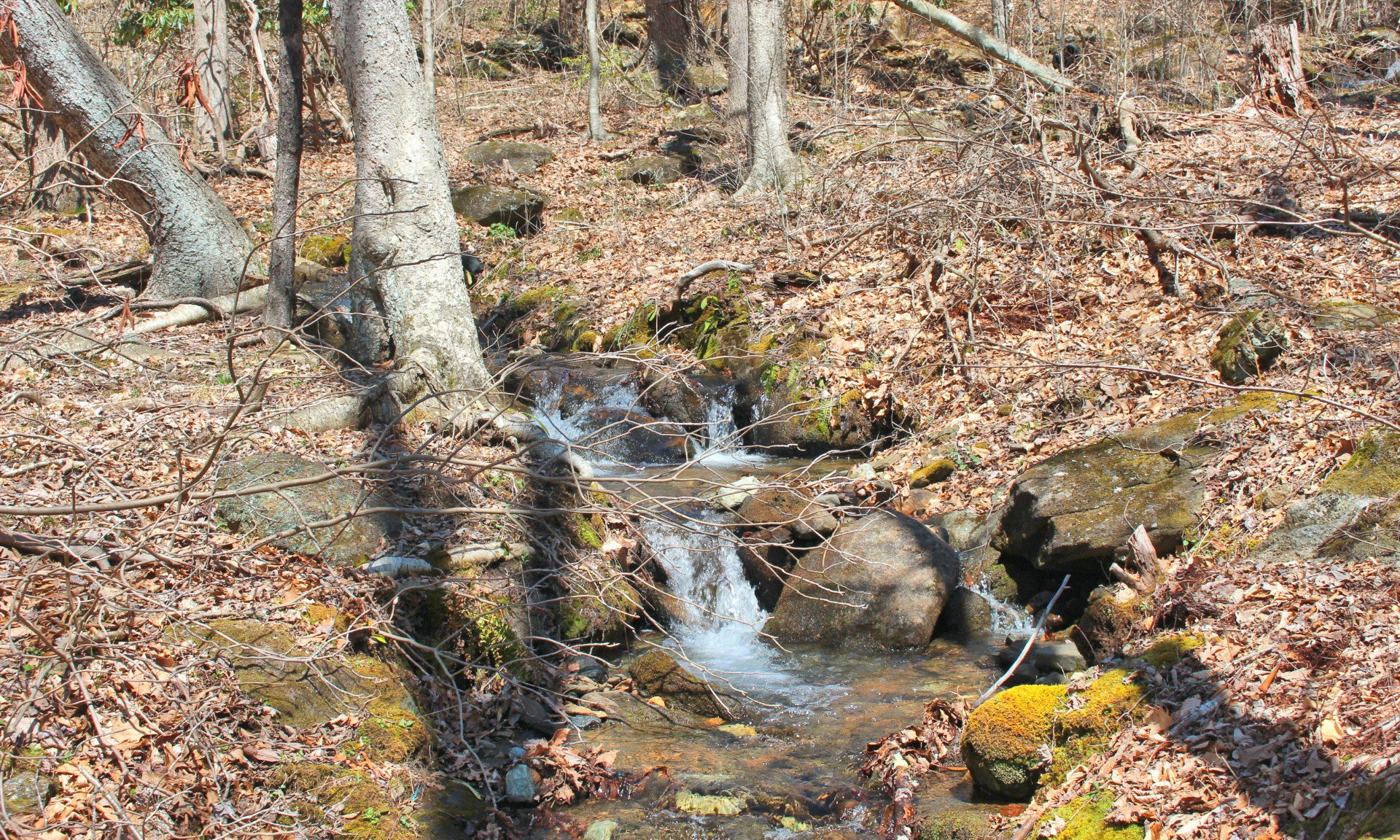 Imagine relaxing on the porch or deck of your newly constructed home or cabin  and enjoying the sounds of a small rushing mountain stream as it falls over ancient boulders through the private wooded setting.