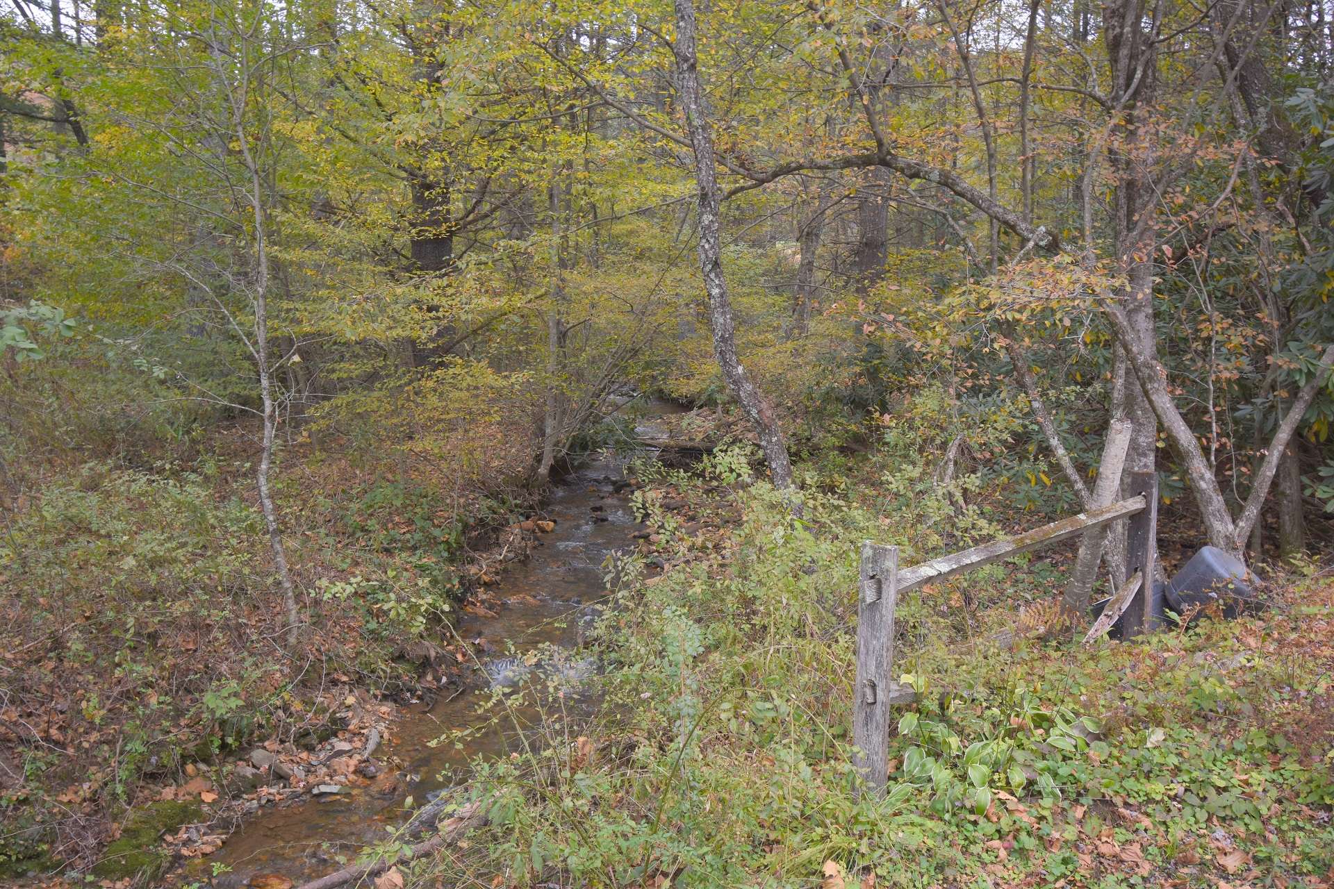 Listen to the ripples of the small mountain creek that meanders through the property.