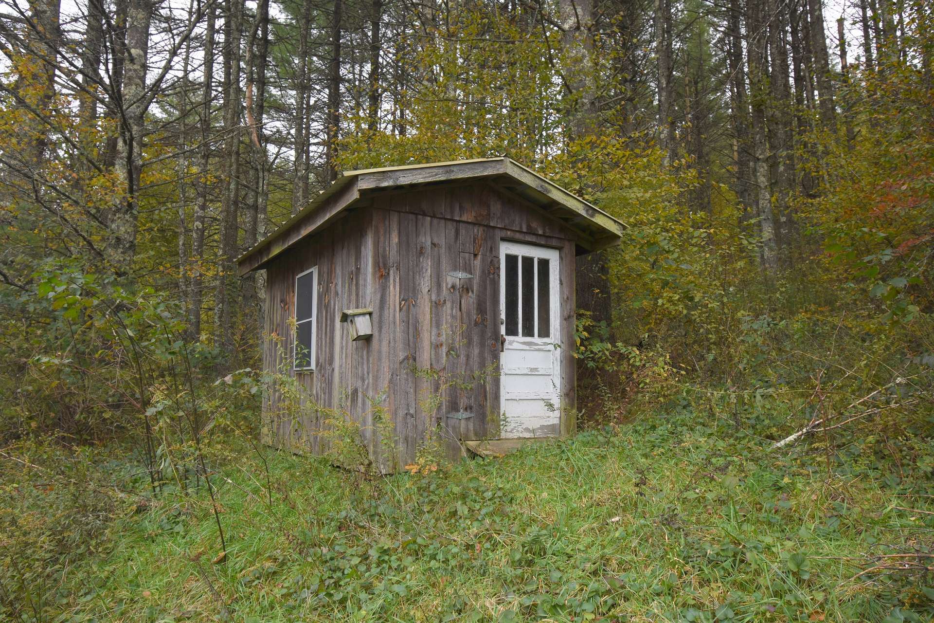 Abundant wildlife makes this acreage tract perfect for hunting.  There is also an outbuilding on the property for storage or possibly camping.  An existing well and septic is in place, however there is no documentation on the septic system.