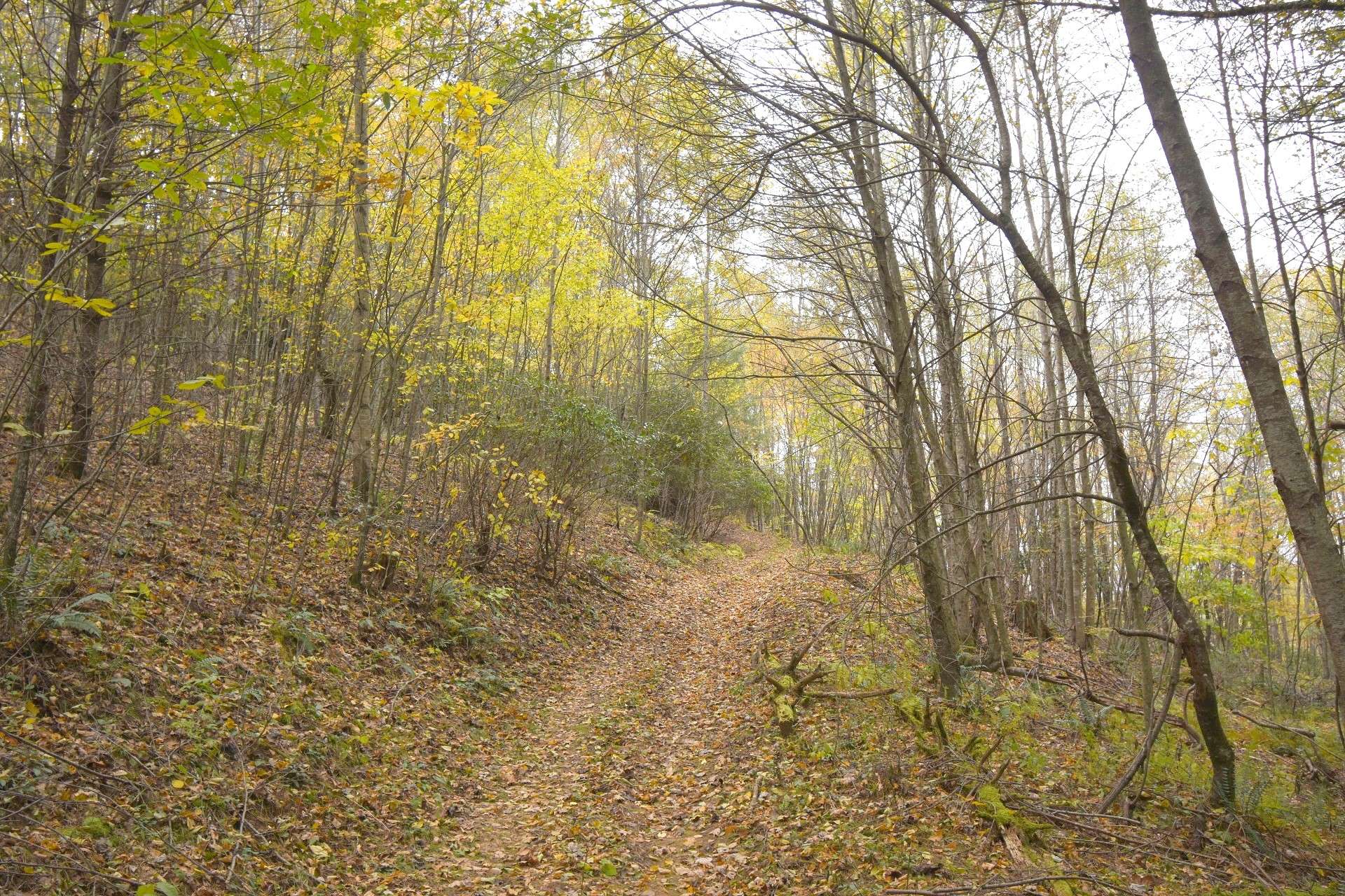 A trail winds its way around the property providing a wonderful opportunity for an afternoon stroll to enjoy Nature's beauty.