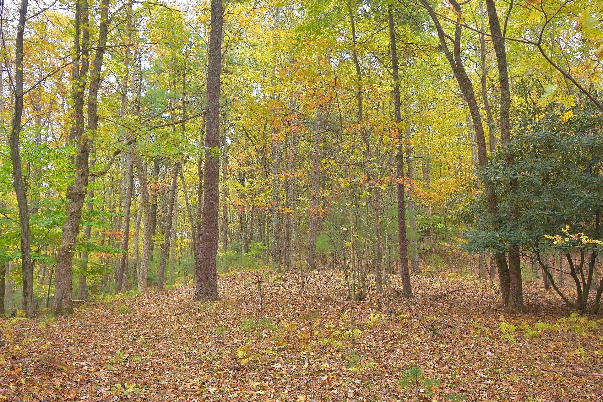 Offered at $81,600, this 13.6 acre tract of land is located off of Idlewild Road in the Southern Ashe County area of the NC Mountains and convenient to Boone and West Jefferson, the ideal choice for your mountain cabin, primary home, or hunting retreat.  J241