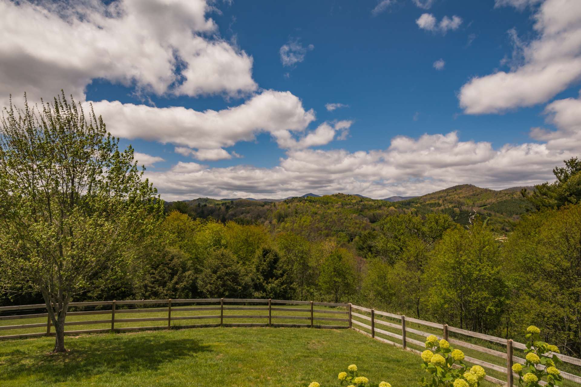 Relax on the covered back deck and enjoy the outdoor scenery and the sounds of  Nature.