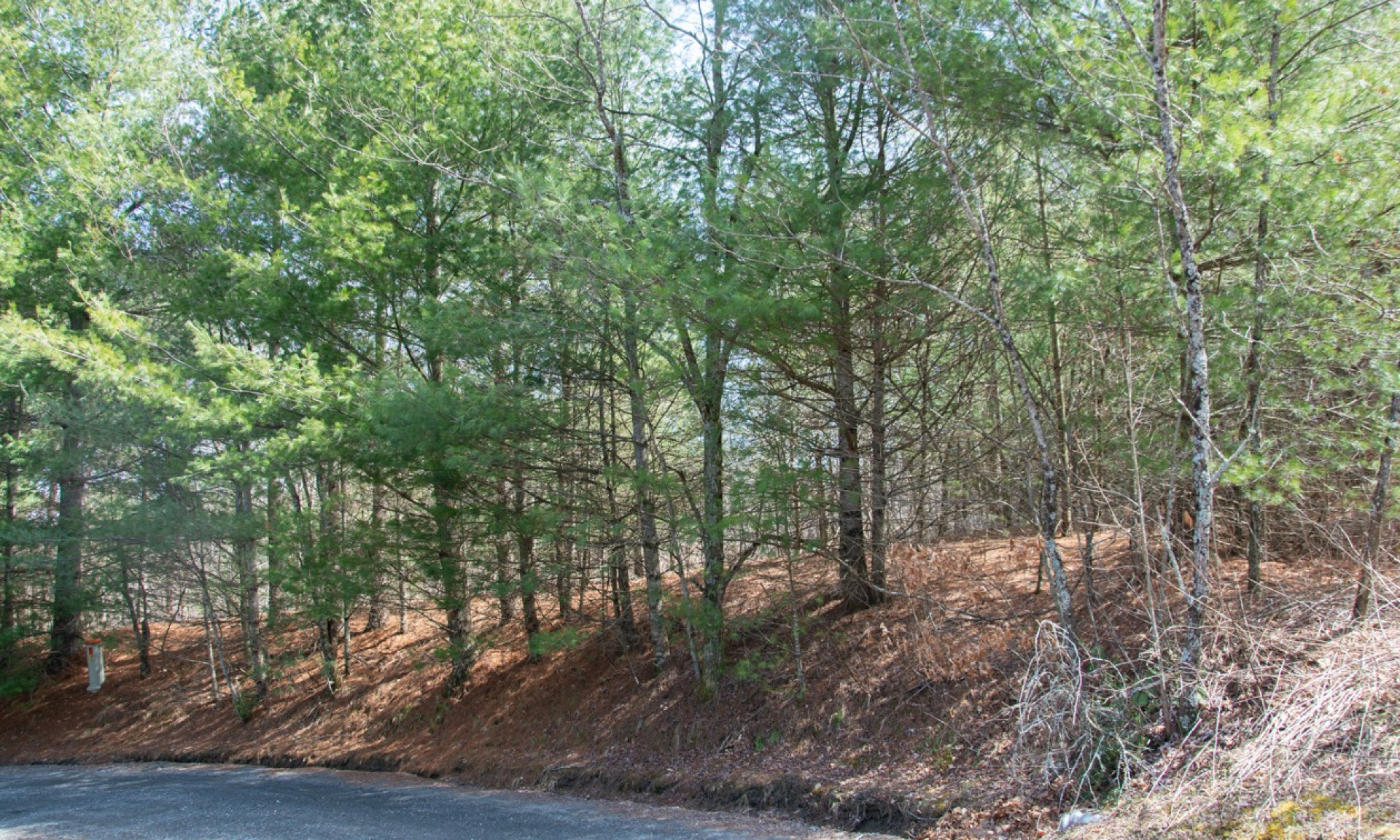 Southern Ashe County Mountain Home Site