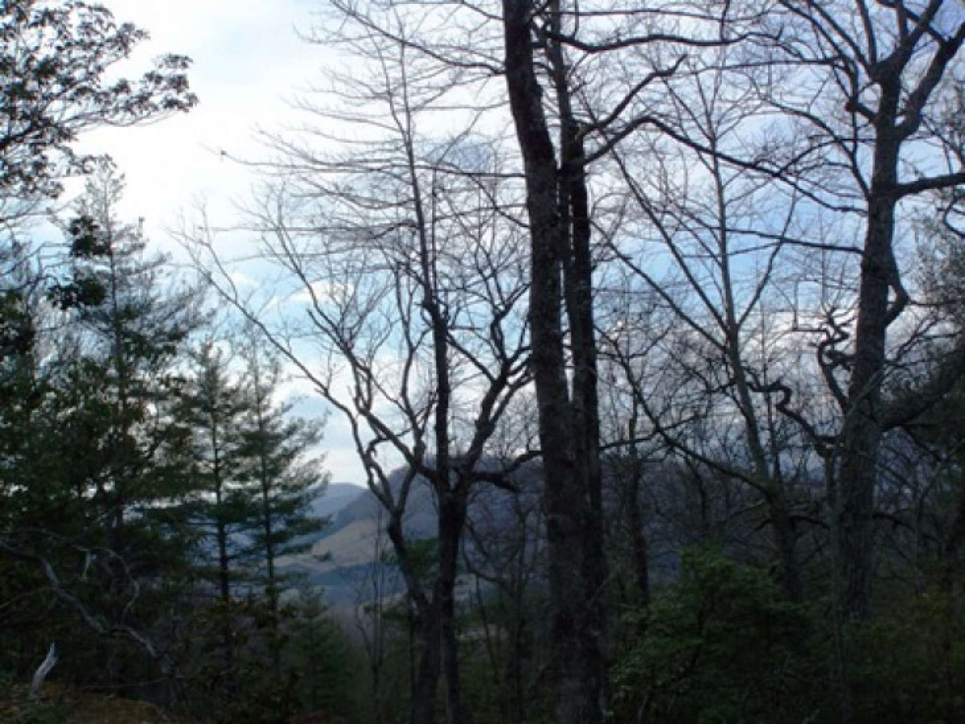 Lot 6 is a beautifully wooded 1.20 acre homesite boasting  nice seasonal views.  Offered at only $24,900, this lot will be a great option for those looking for a peaceful building site for their forever home or cool NC Mountain retreat cabin.