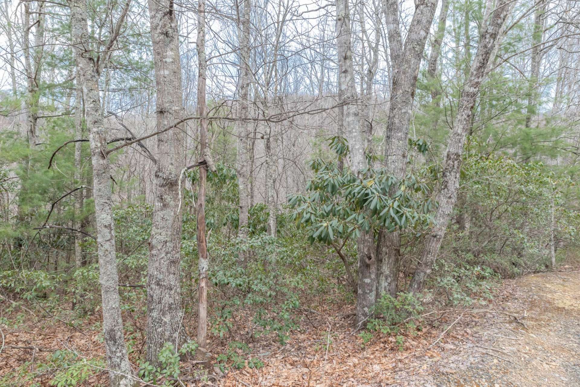 Lot 8 is available offering a peaceful wooded 1.51 acre home site.