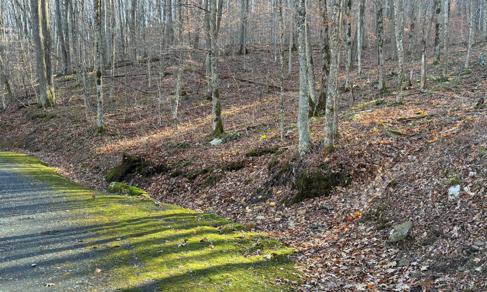 Southern Ashe County NC Land Tract