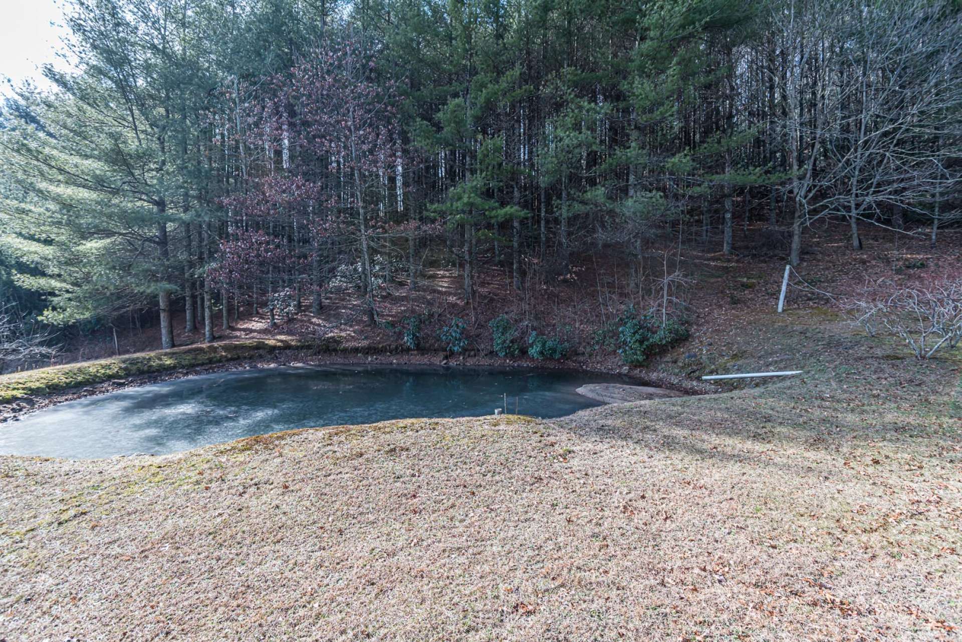 You will enjoy time spent around the stocked spring-fed pond. A perfect place for an afternoon picnic and enjoying the views while fishing.