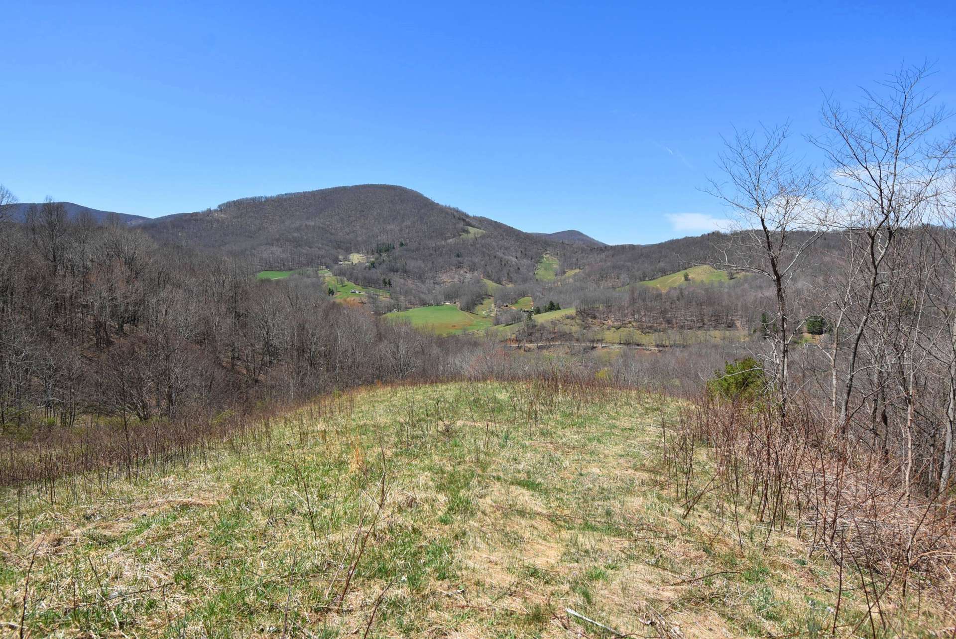 Multiple potential additional homesites are available making this property ideal for those looking for development or extended family ownership.