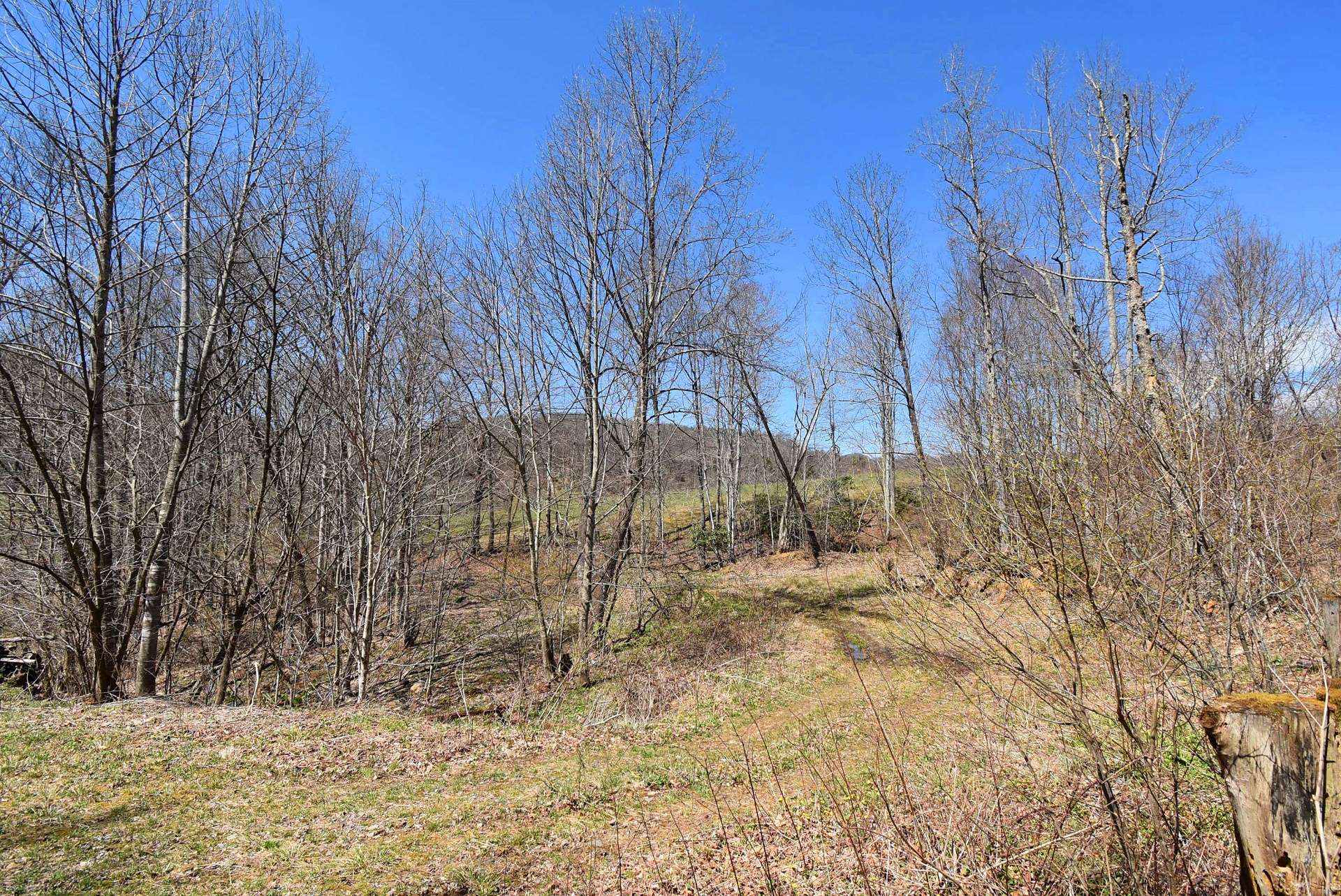 Privately nestled on a ridge, this sweet 2-bedroom, 1-bath cabin offers a space for retreat and rejuvenation.