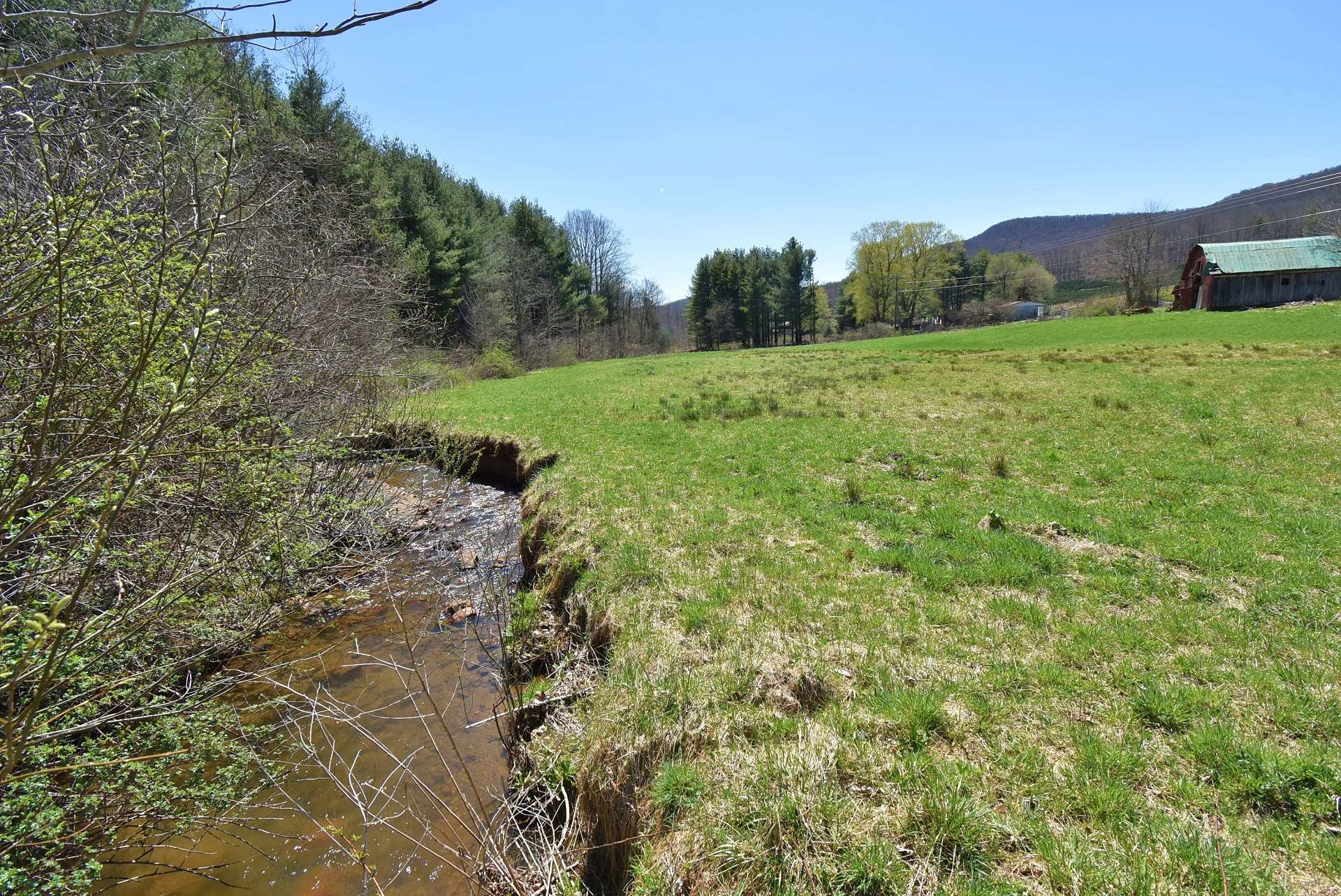 There is a small mountain creek that runs along side the pastures at the entrance.