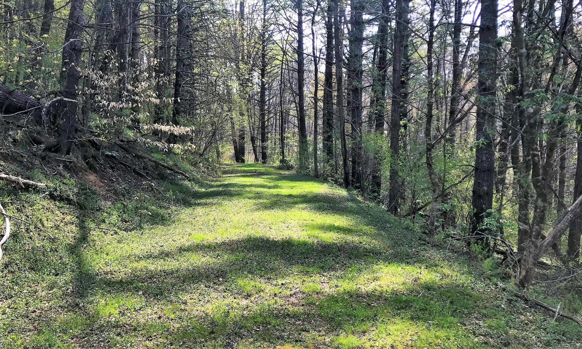 Southern Ashe County NC Mountain Home Site