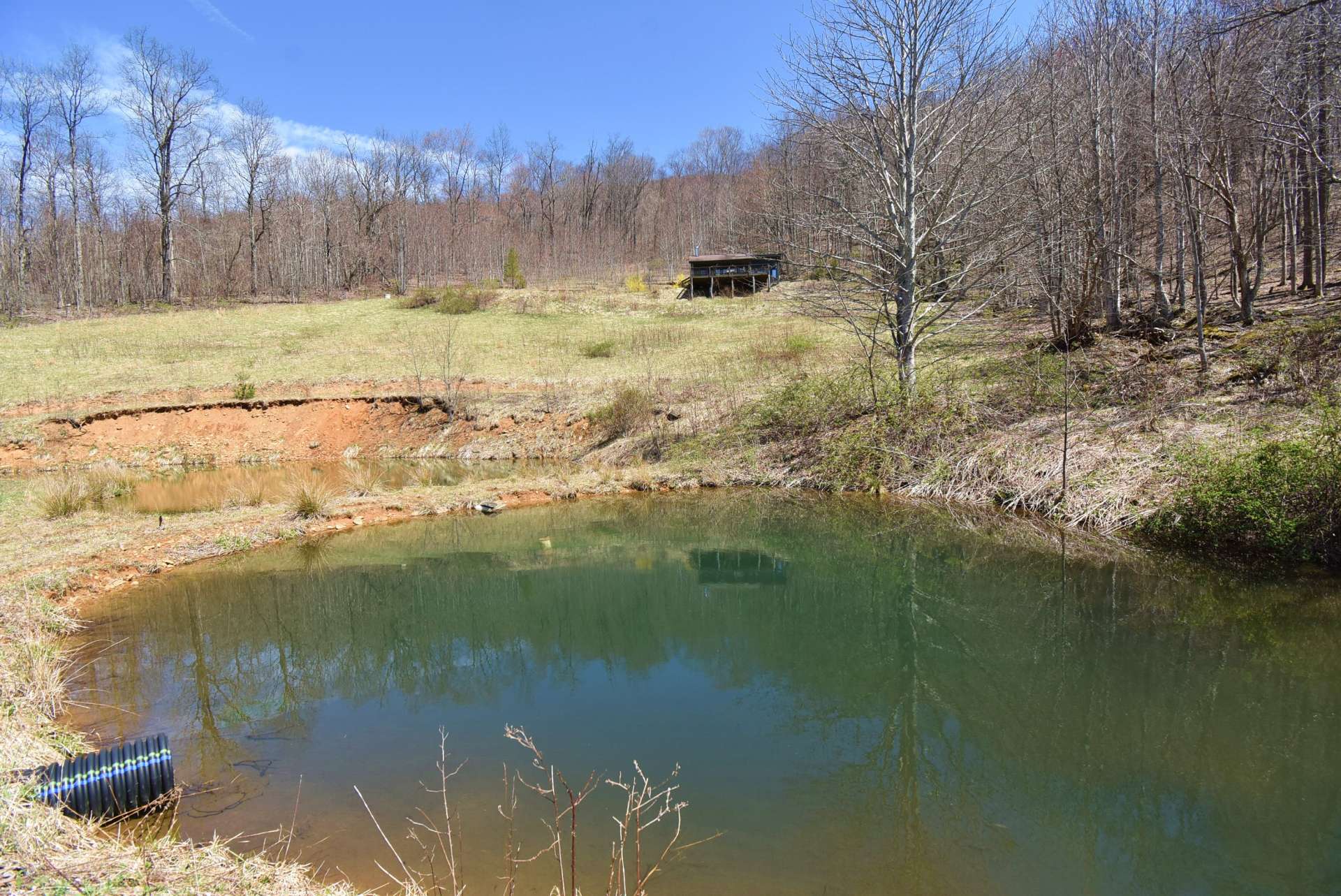 This photo was taken at the pond looking toward the cabin.