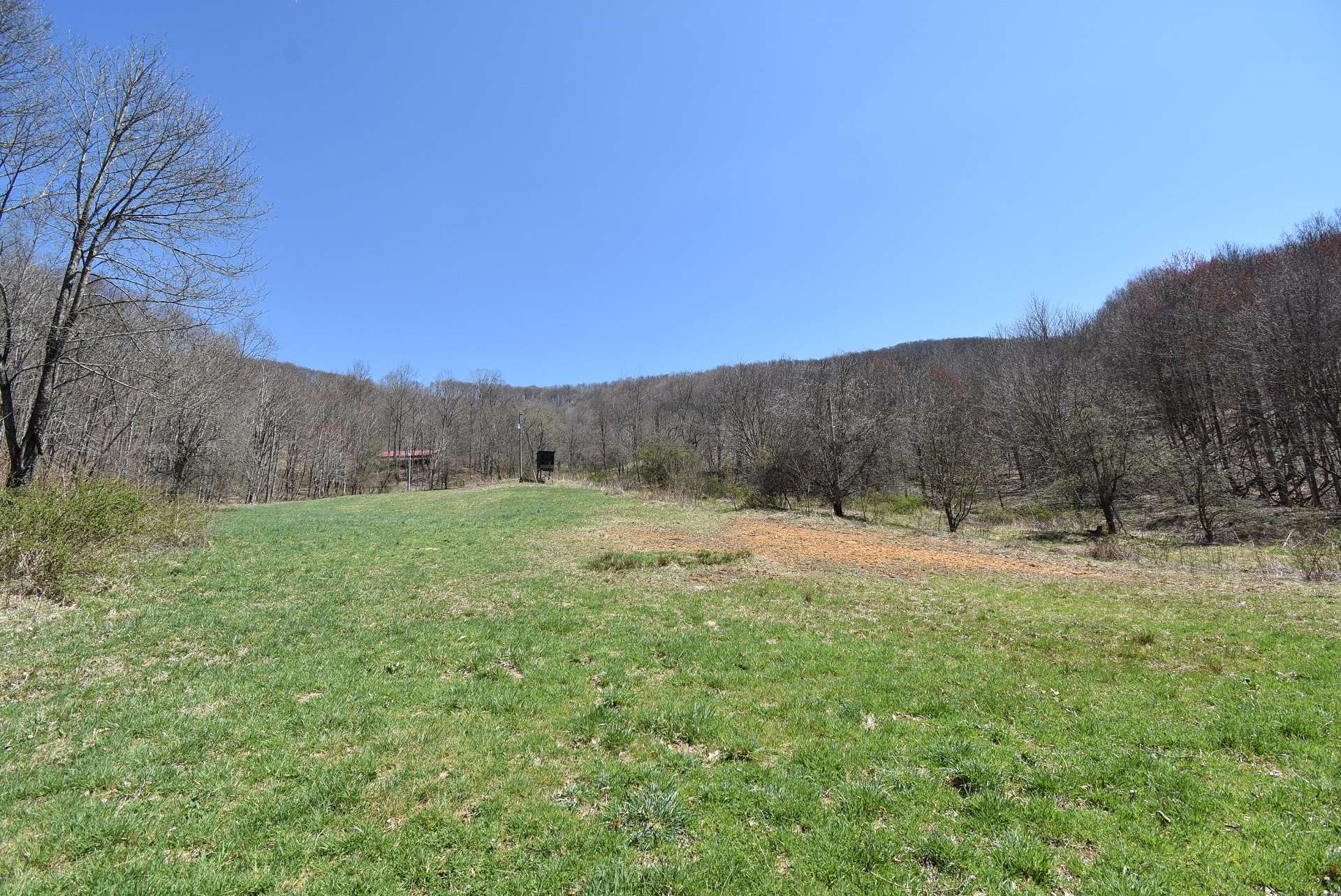 Gorgeous pastures perfect for horses, cattle, livestock, crops, or vineyard.