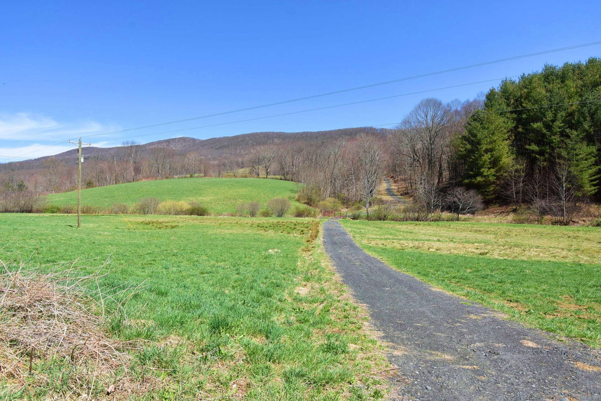 This property can be accessed via Three Top road or Majestic Way. Lush green pastures greet you at the entrance and beckon you to follow the graveled drive for a journey through unspoiled open lands and serene woodlands to the cabin.