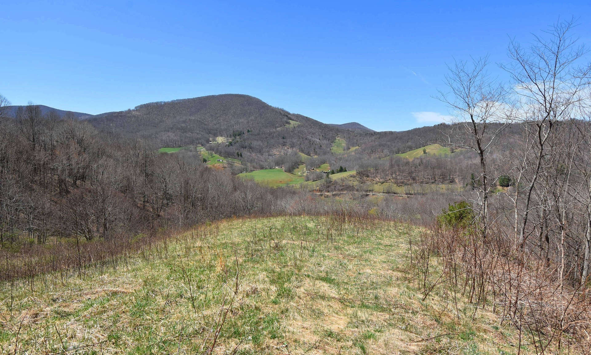 Enjoy outstanding sunsets and long range mountain views from the deck of this sweet cabin hidden away on a 110 acre setting in the Todd area of Southern Ashe County.