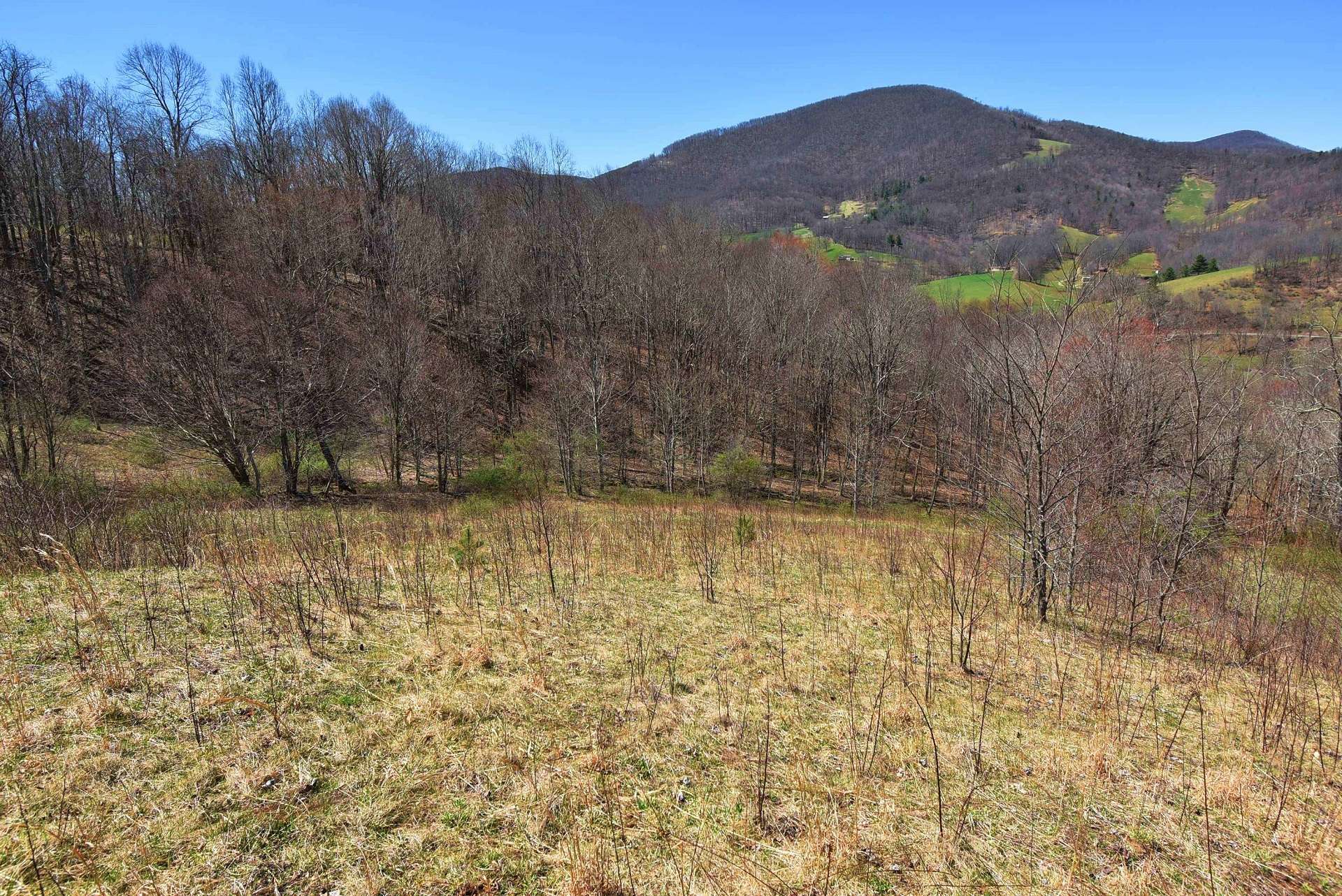 This is the land surrounding the house site. Private with abundant wildlife.