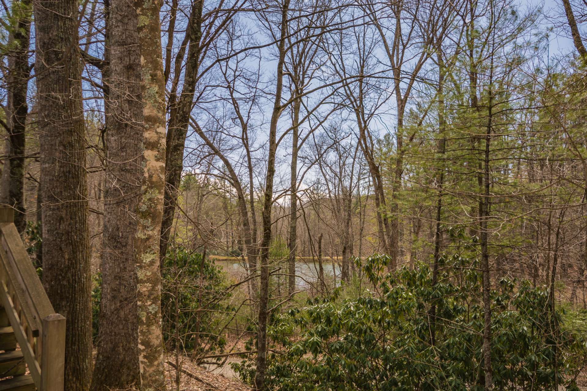 Nestled in a wooded setting and surrounded by native mountain foliage, you can relax on the open back deck and enjoy  scenery which includes a small mountain pond.