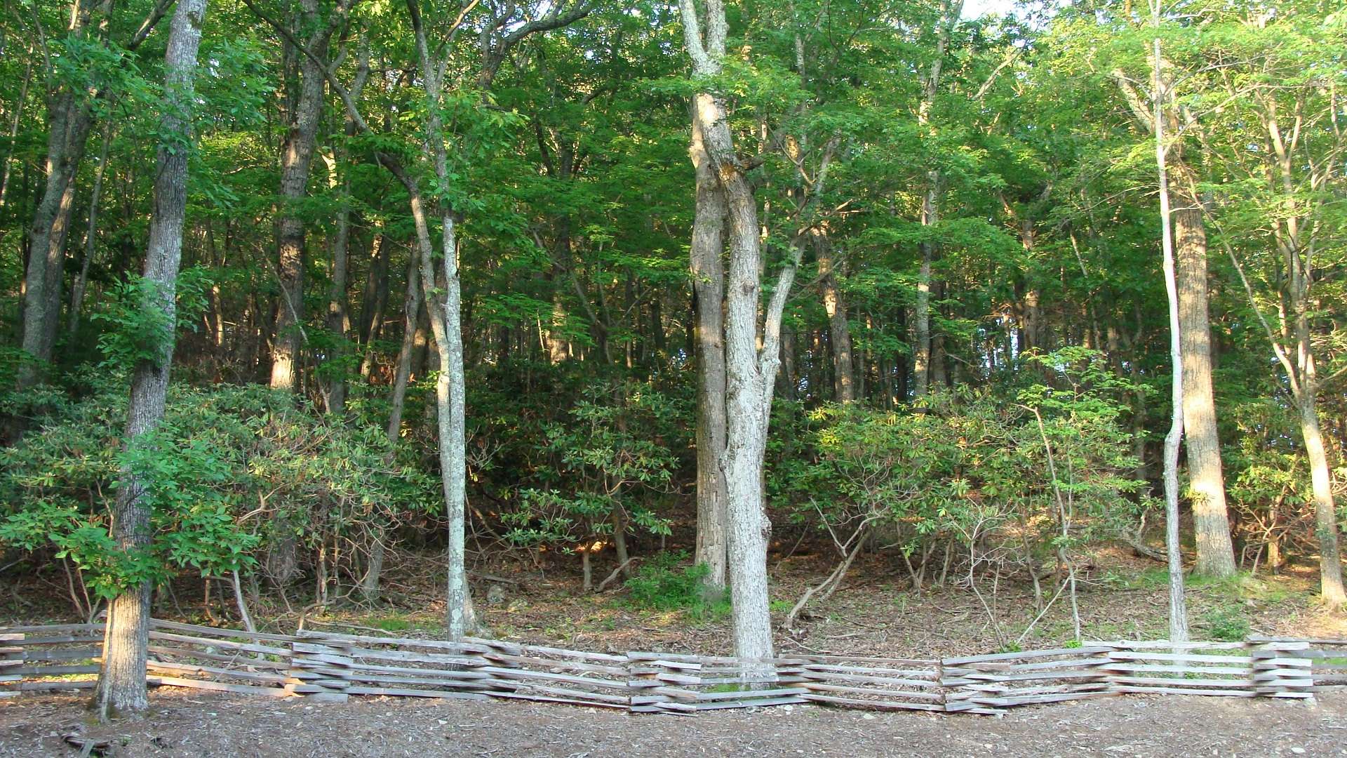 In the back yard, there is split rail fencing, reinforced with rebar, and the bulk of the acreage on the other side.