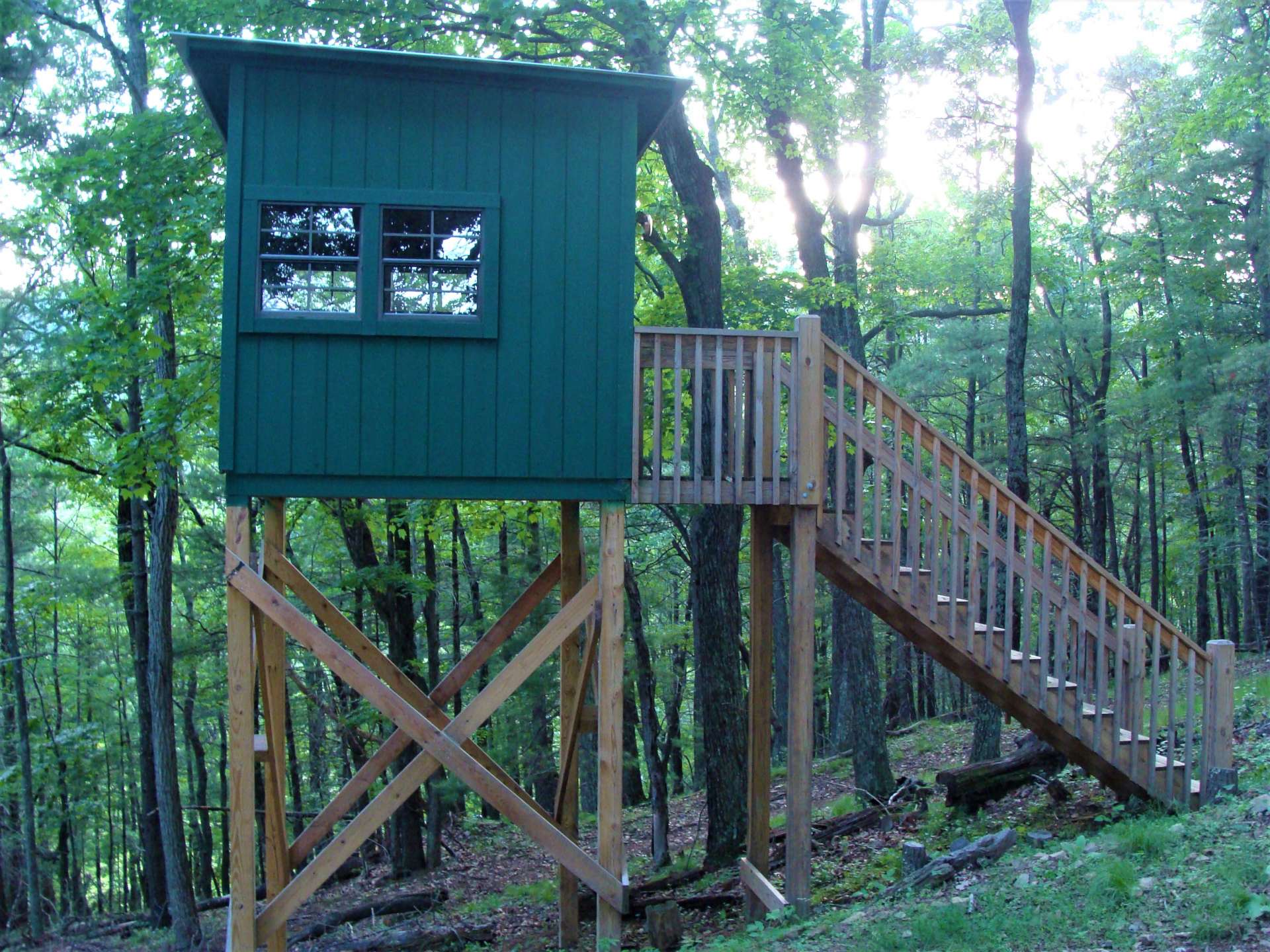 The avid hunter will appreciate this custom deer observation tower. This structure is also perfect for a child's tree house.