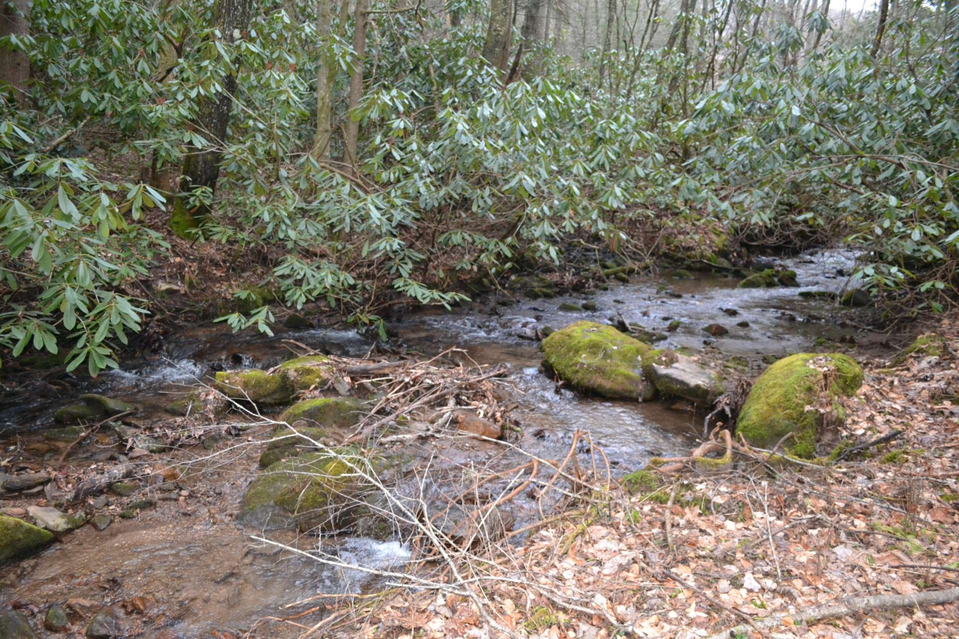 This mountain creek can be enjoyed along the back of the property.