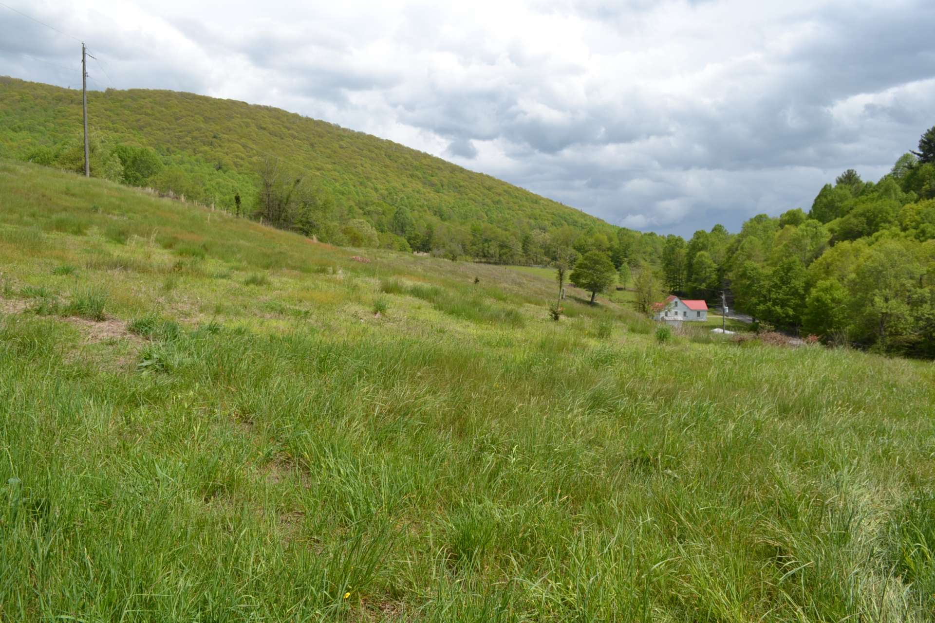 Plenty of grasslands for a horse farm.