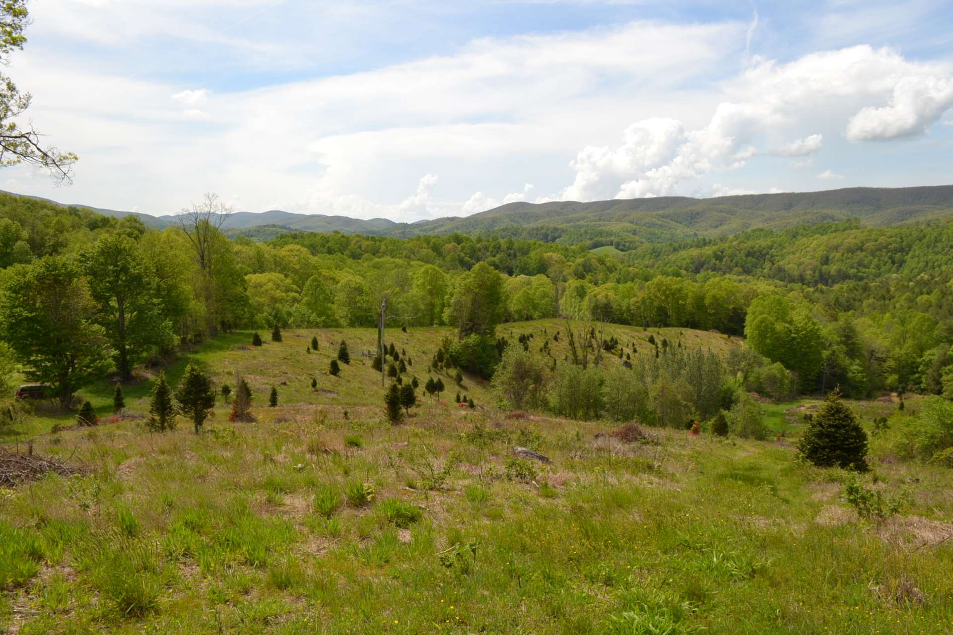 There are farm roads throughout the property for easy access and perfect for horseback or ATV riding.