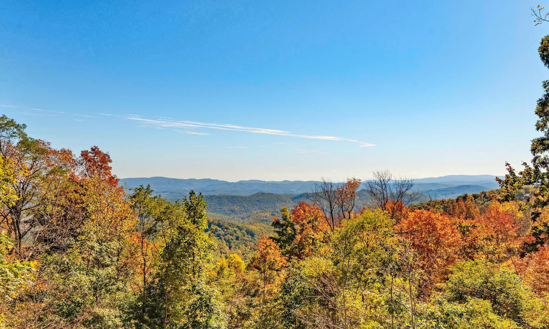 Come live in the tree tops and watch the view out over the Blue Ridge Mountains change by the hour.