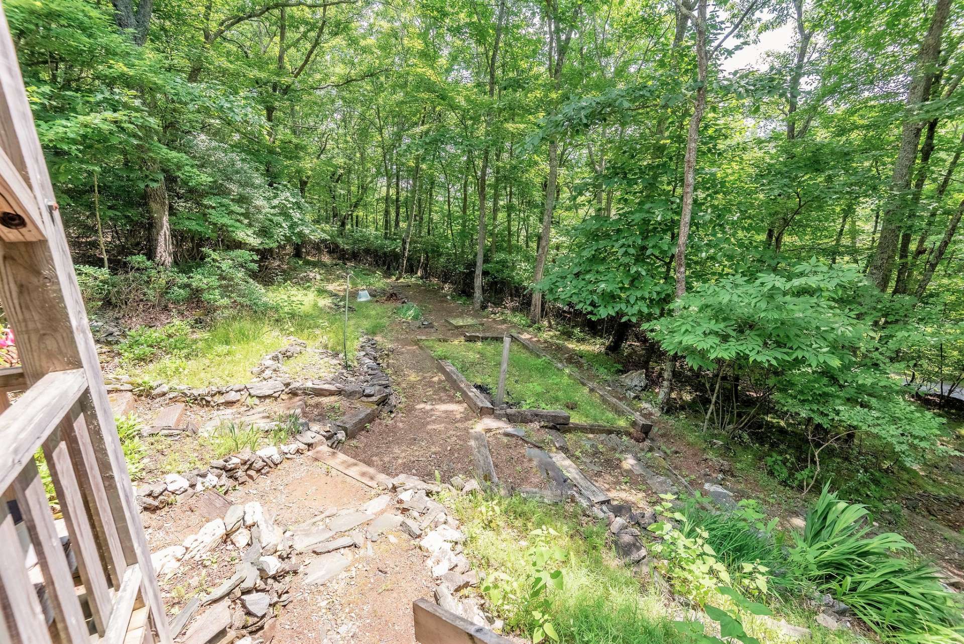 Backyard has multiple areas to either garden or leave it to Mother Nature to provide a more rustic landscaping.