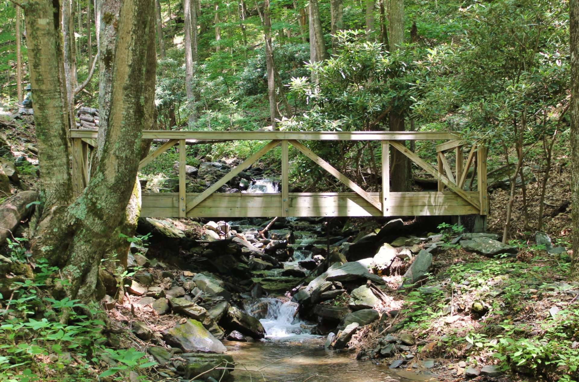 Enjoy 235 feet of frontage on a bold creek cascading over several small rock waterfalls, ideal for cooling off after a long day of hiking!!